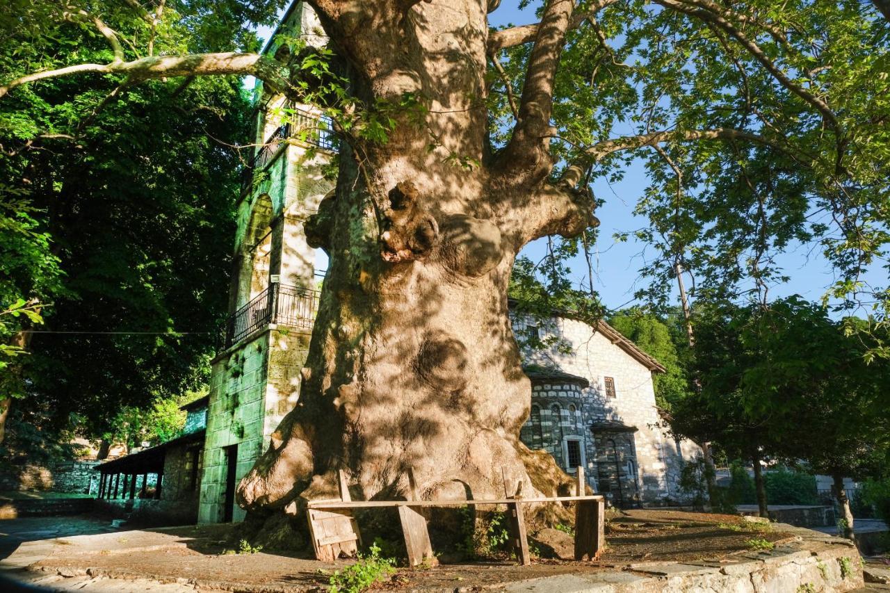 A Dream Deferred Villa Pelion Kissos  Buitenkant foto