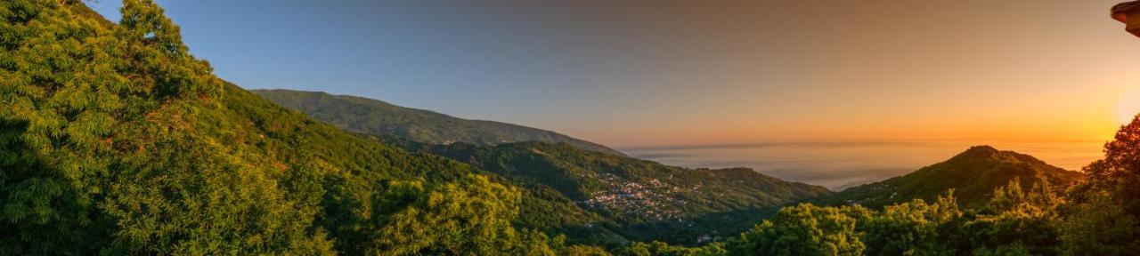 A Dream Deferred Villa Pelion Kissos  Buitenkant foto